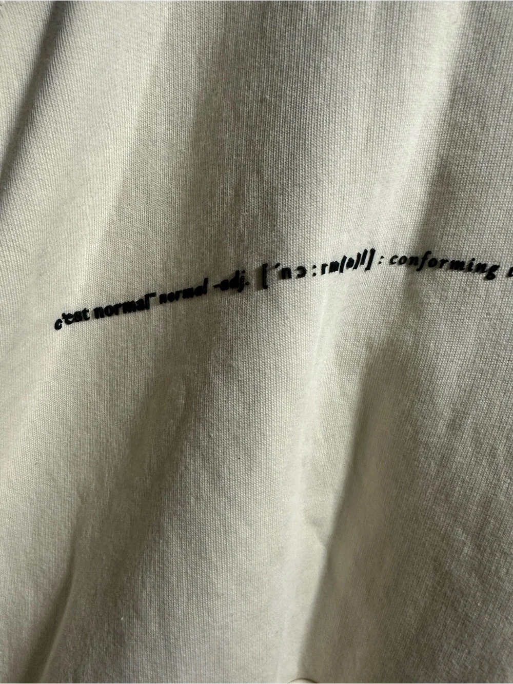 C’est Normal Hoodie -Sz sm